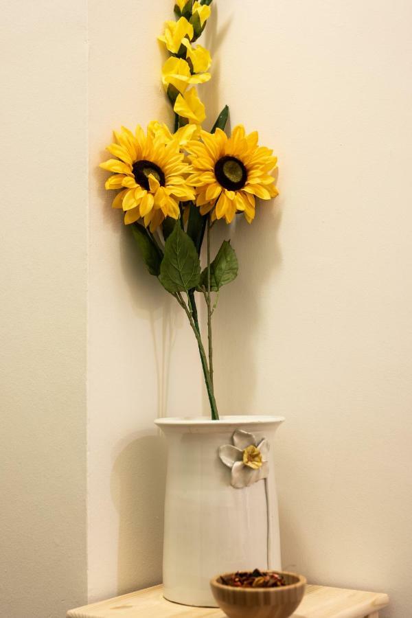 Downtown Bologna Apartment Dış mekan fotoğraf